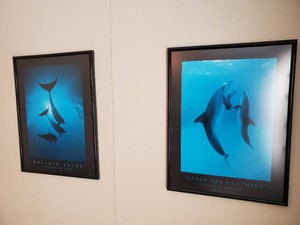 Talbot Dolphin Tales and Danse Des Dauphins framed Posters