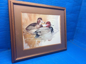 Morten E. Solberg Signed Print Redhead Ducks Wildlife Art Framed