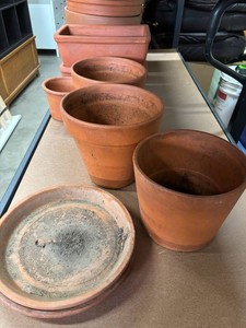 Terracotta Planters, Saucers & Expert Gardener Caddy Mixed Lot