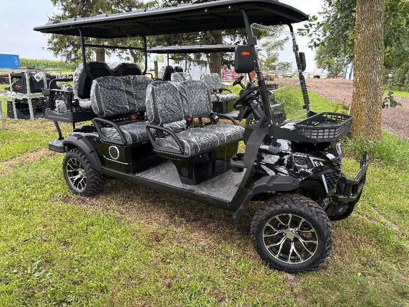 2026 FUTURE Off-Road Golf Cart, 6-Person (FT-GC42S)