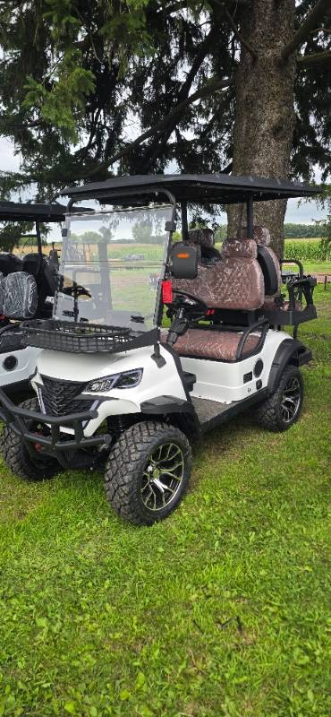 2026 FUTURE Off-Road Golf Cart, 4-Person (FT-GC22S)