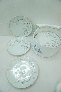 Noritake China Andrea Pattern (5524)