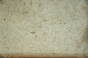 handmade Mulberry paper featuring a botanical eco-print design 4 sheets 22 x 36