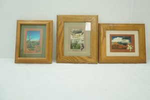 3 framed Arizona pictures 8 x 10