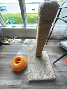 Cat Scratching Post & Interactive Treat Ball Toy Beige Orange