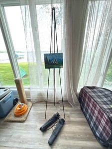 Set of 2 Black Metal Tripod Display Easels  Folding Floor Stands