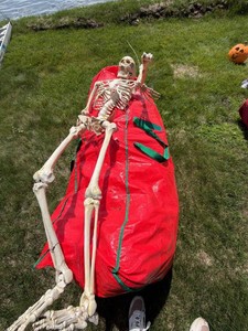 Assorted Halloween Pumpkin Decor Lot with Full Skeleton Prop