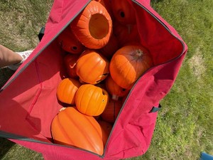 Lot of Assorted Halloween Pumpkin Blow Molds with Storage Bag
