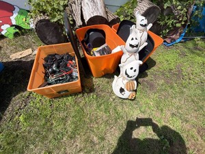 Assorted Halloween Decorations Ghost Figure Lights Costume Projector