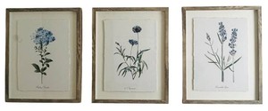 BATH - Framed Botanical Prints Set of 3