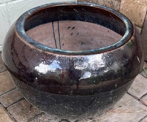 BYD - Ceramic Planter