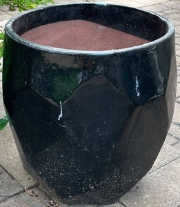 BYD - Black Ceramic Planter