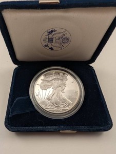 2004 American Silver Eagle Coin in Case