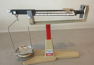 Ohaus Brand 311 g capacity cent a gram scale