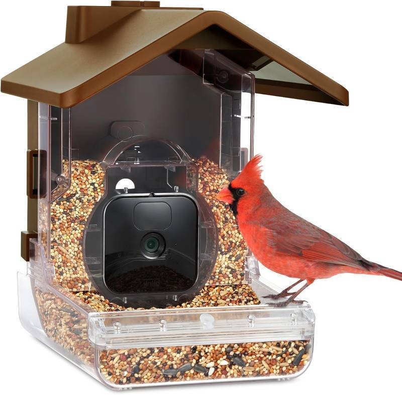 Wasserstein Bird Feeder Camera Case  Smart Bird Watching Accessory (Camera NOT Included)