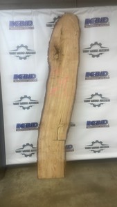 Basswood live edge