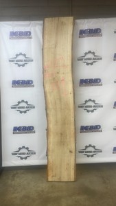 Basswood Live Edge