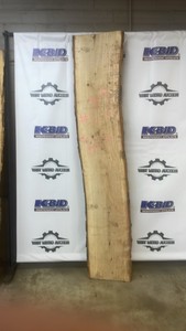 Basswood Live Edge