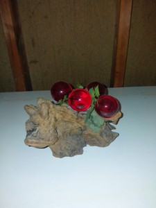 grapes on a log