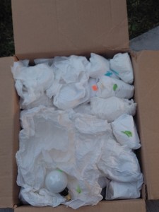 box of string light bulbs