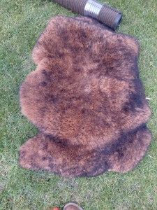 faux fur pelt