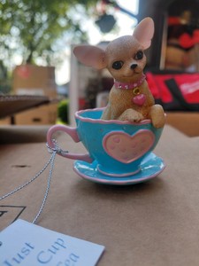 chihuahua in tea cup