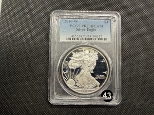 2010-W 1 Oz. Silver Proof American Eagle PCGS PR70DCAM - Perfect Grade