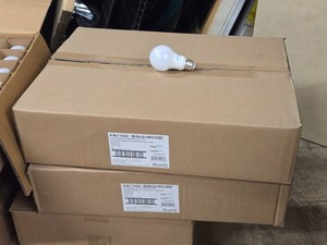 Lot of (2 Boxes) EarthBulb LED Dimmable A19 Bulbs 48-count ( 96 total items )