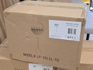 Lot of (1) Trans Globe Pendant Light LP-110 SL-SG