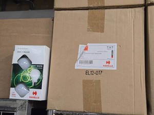 Lot of (1 Box) Havells Soft White Bulbs 60W 120-count ( 120 total items )
