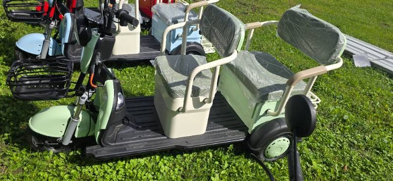 2026 SDLANCH Electric Tricycle Mini Golf Cart (IRGC40) - Light Green