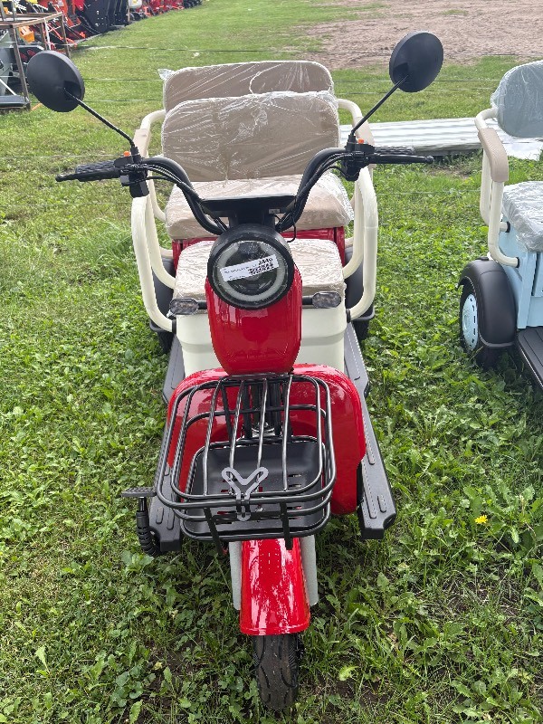 2026 SDLANCH Electric Tricycle Mini Golf Cart (IRGC40) -Red