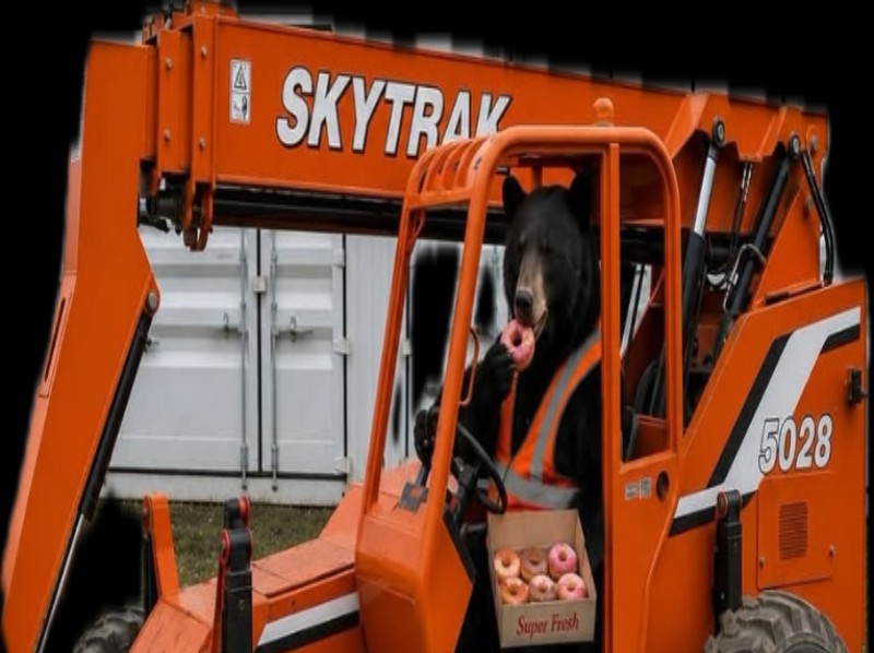 Forklift Available for Loading