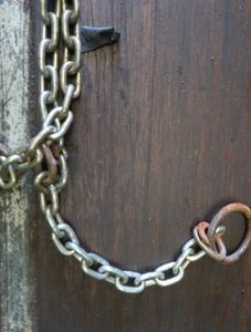 FIXED CHAIN WITH O- RINGS