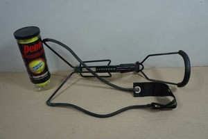 Hyper Dog Ball Launcher with Balls
