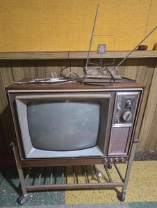 Singer Vintage Color Television on Rolling Cart w Antennas