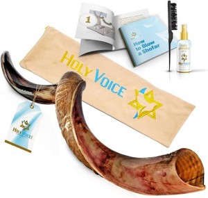 $230 Holy Voice Kosher Kudu Shofar Horn 40-41 from Israel   Traditional Half-Polished Yemeni Shofar Includes Carrying Bag, Brush and Blowing Guide - Easy Blowing Ancient Jewish Musical Instrument