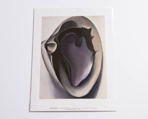 Georgia OKeeffe Clam and Mussel Print