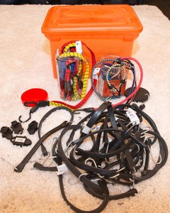 Assorted Bungee Cords