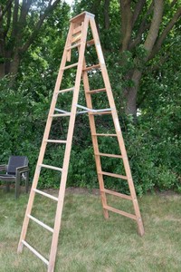 Keller 10 Wood Step Ladder  250-Lb. Capacity