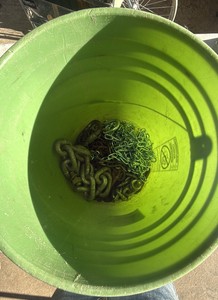 bucket of chains