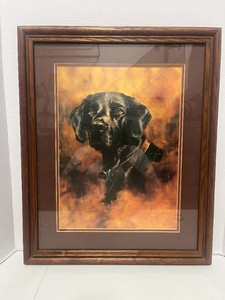 Black Lab Framed Picture by F.W. Thomas