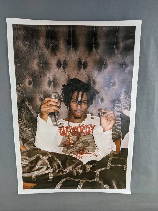 Playboi Carti Canvas 12 x 18 Poster - Brand New Z