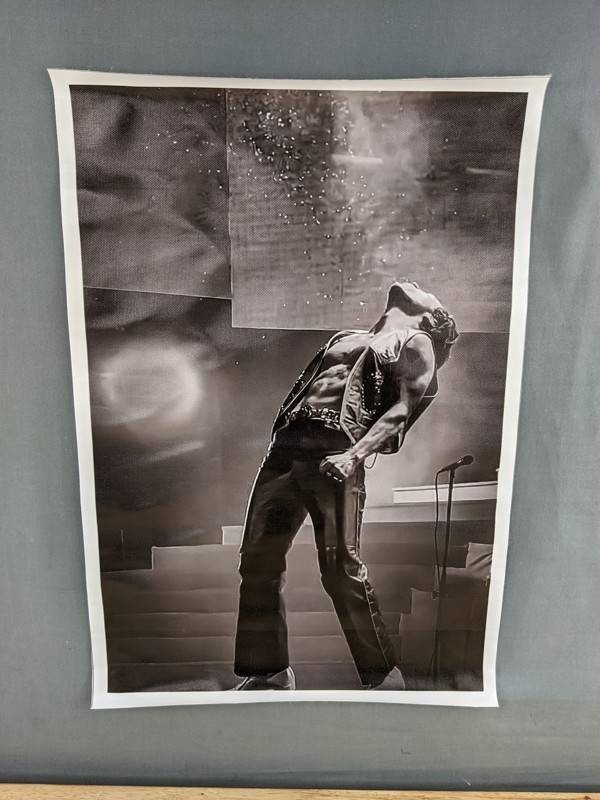 Harry Styles Canvas Poster 12 x 18 - Brand New Z