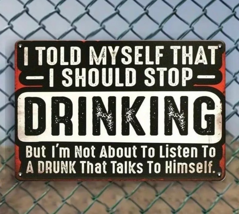 I Told Myself That I Should Stop Drinking 8 x 12 Metal Sign - Brand New Z