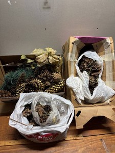 Holiday Pinecone and Floral Decor