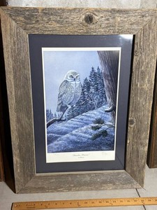 Framed Signed Boreal Princess Snowy Owl Wildlife Print