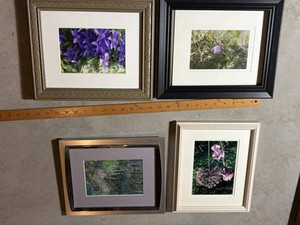 Framed Botanical Photo Print Set of 4 - Allium & Iris