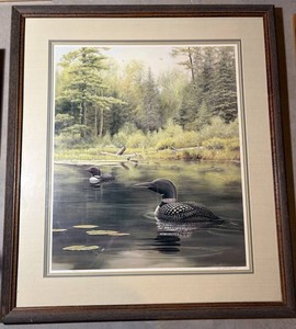 Terrill a. Knack Signed Loon Print 402600 Framed