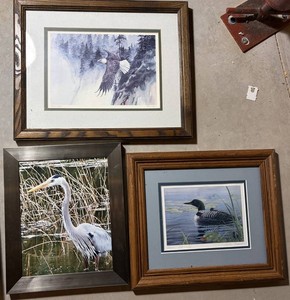 Signed Wildlife Framed Print, 3 Total